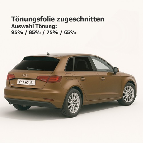 Tönungsfolie passgenau